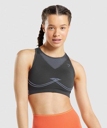 Sujetadores Deportivos Gymshark Apex Seamless Mujer Negras Gris Lavanda Azules | CO 2220FDN